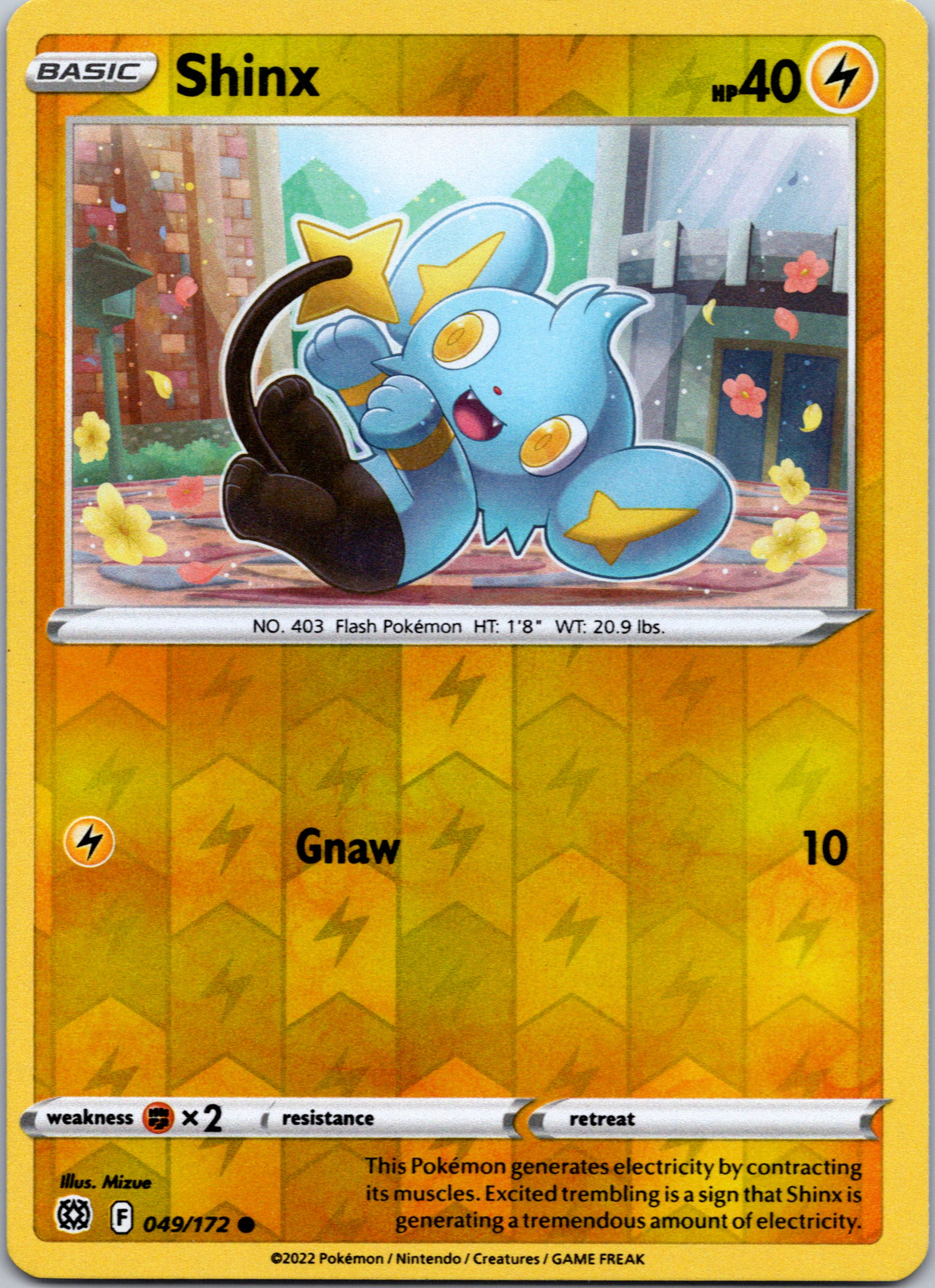 Shinx [049/172] [Brilliant Stars] Reverse Holofoil