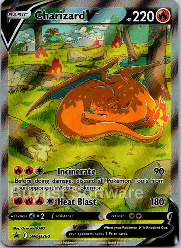 Charizard V [SWSH260] [Sword & Shield Promo Cards] Holofoil