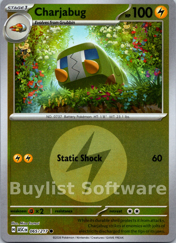 Charjabug (Energy Symbol Pattern) [065/217] [Ascended Heroes] Reverse Holofoil