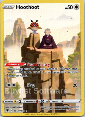 Hoothoot [TG12/TG30] [Astral Radiance Trainer Gallery] Holofoil