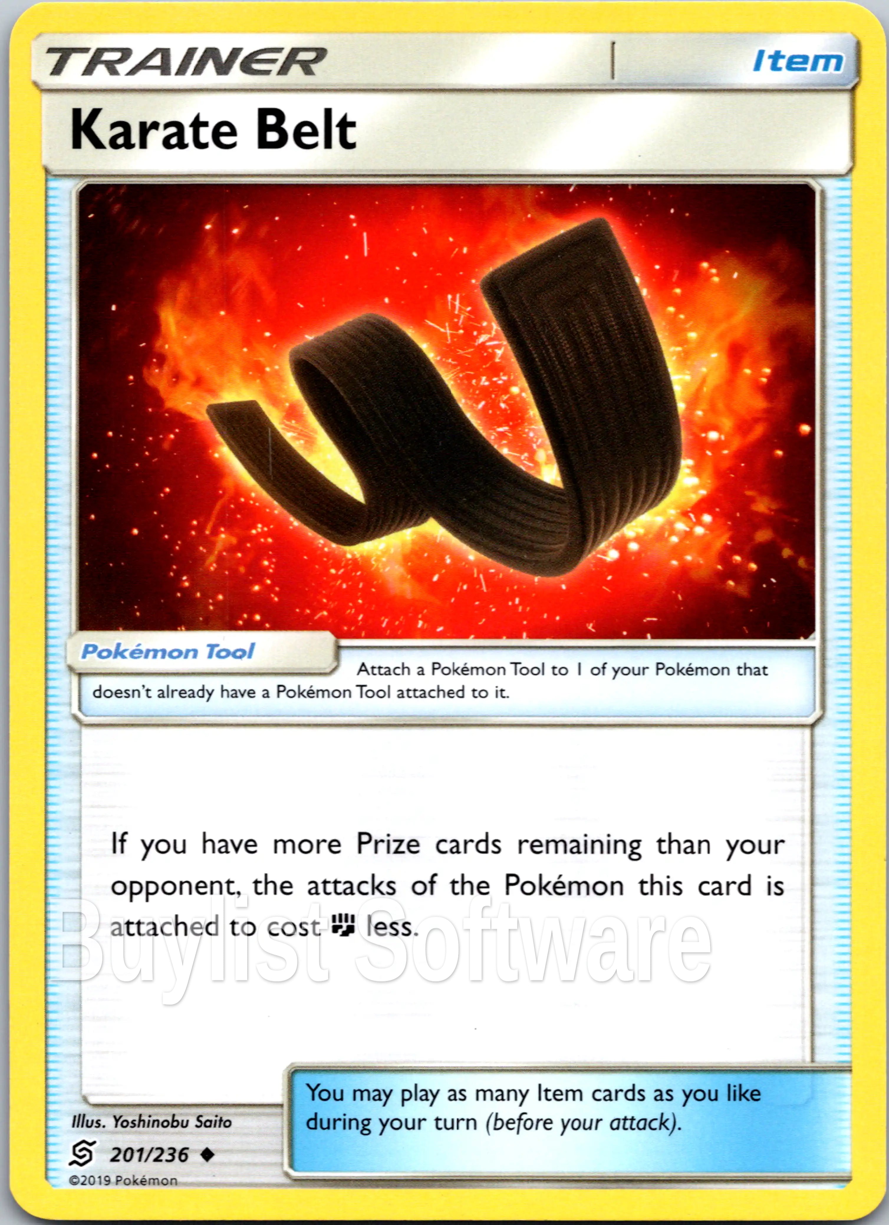 Karate Belt [201/236] [Unified Minds]