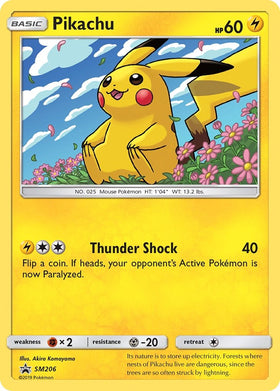 Pikachu [SM206] [Sun & Moon Promos] Holofoil