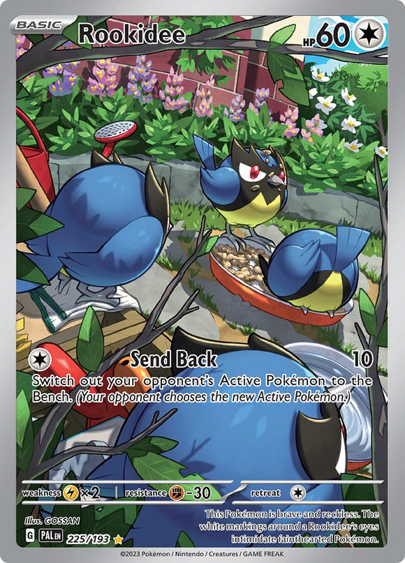 Rookidee [225/193] [Paldea Evolved] Holofoil