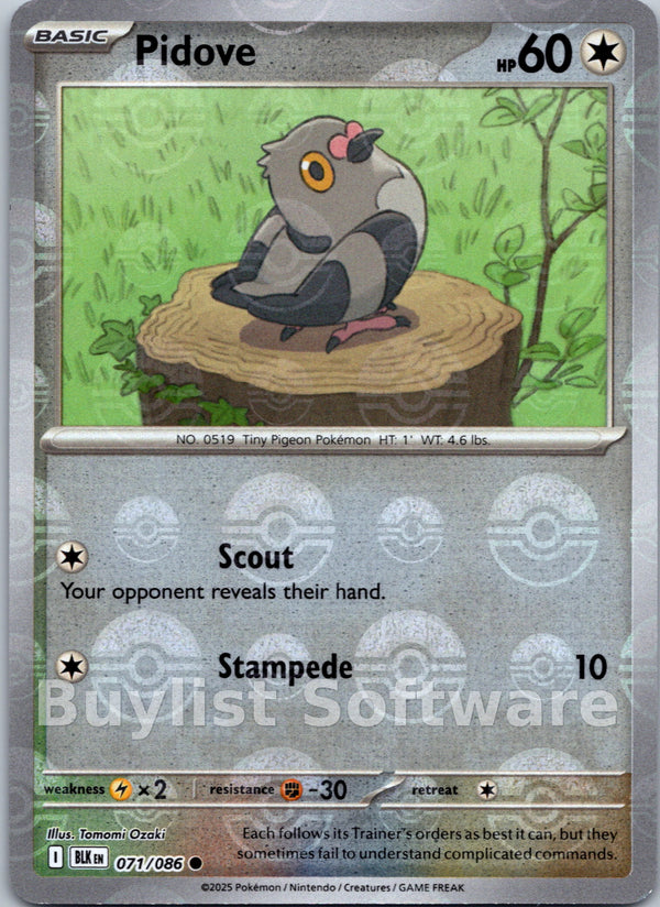 Pidove (Poke Ball Pattern) [071/086] [Black Bolt] Holofoil