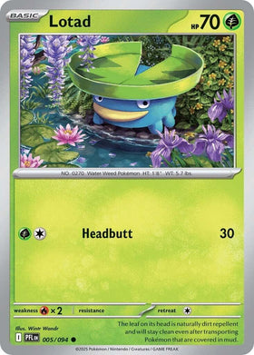 Lotad [005/094] [Phantasmal Flames] Reverse Holofoil