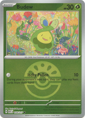 Budew (Friend Ball)