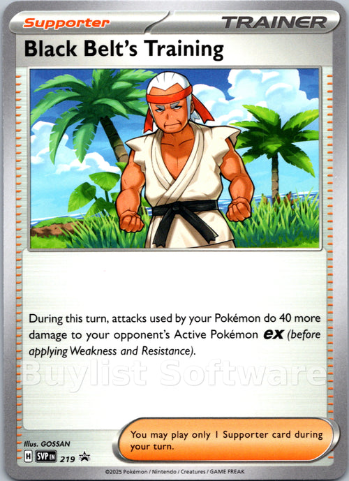 Black Belt's Training [219] [Scarlet & Violet Promo Cards]