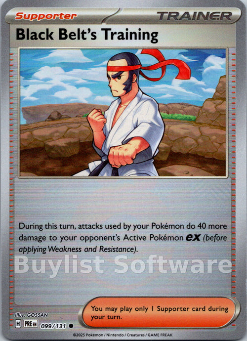 Black Belt's Training (Poke Ball Pattern)