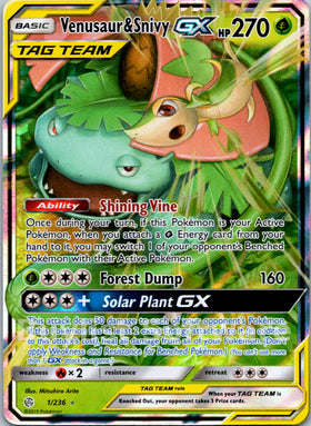 Venusaur & Snivy GX