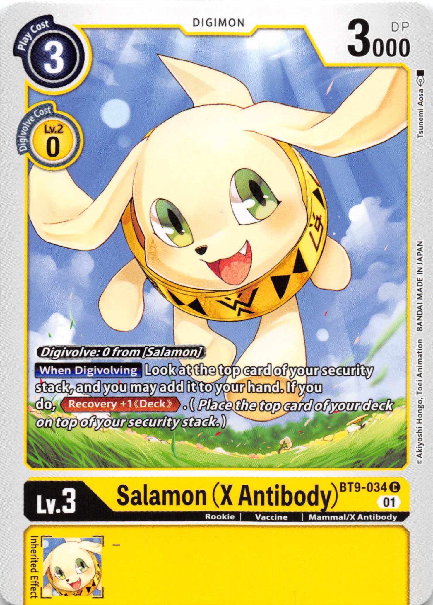 Salamon (X Antibody) [BT9-034] [X Record] Normal