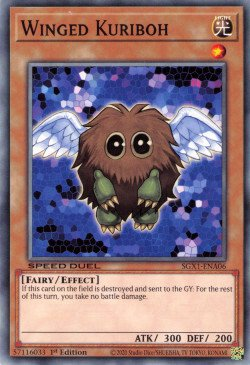 Winged Kuriboh [SGX1-ENA06] Common - Duel Kingdom